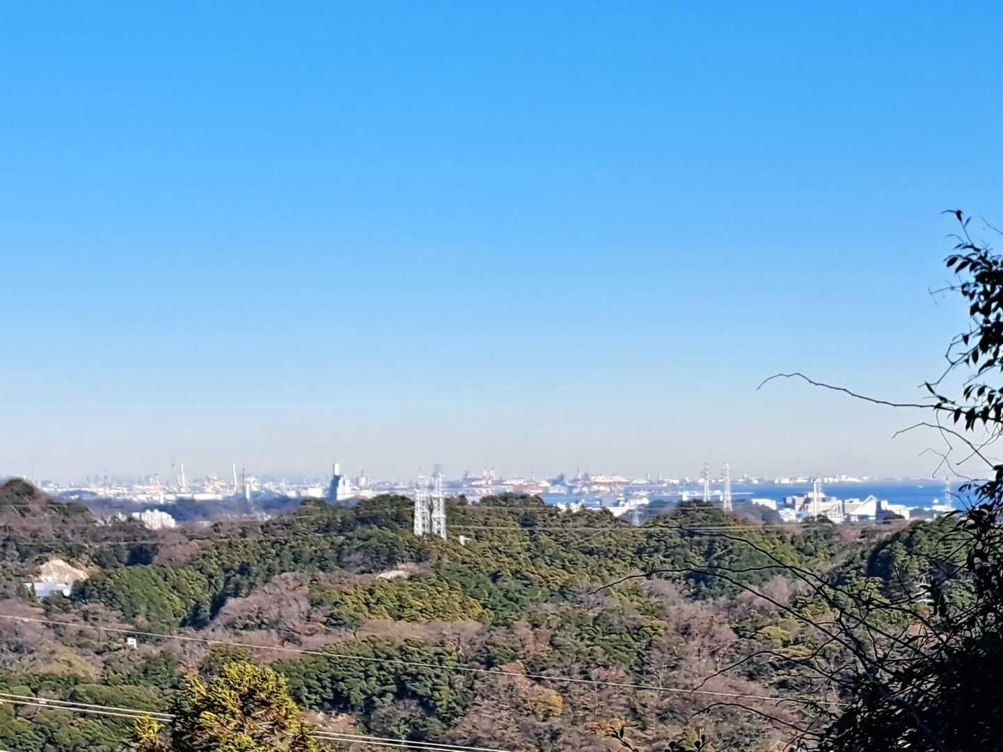 少し歩き標高を上げるとこの絶景❇️
東京湾とみないとみらい🏙️