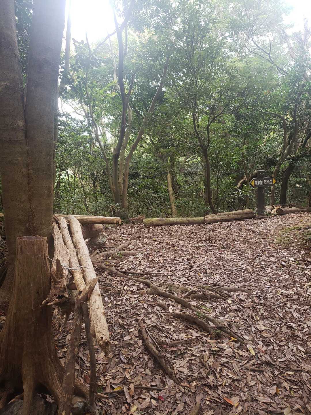 稜線に出ました🗻
さすが湖西連峰、至るところにベンチあり👍