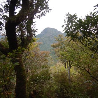 西岳山頂から経ヶ岳