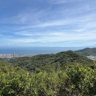 少し全体が見える景色に✨