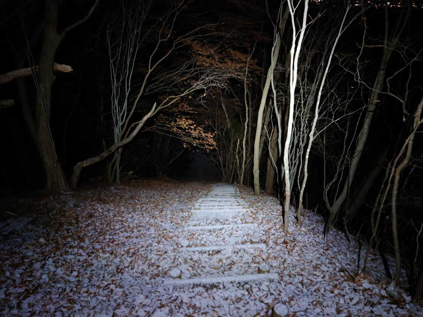 外山-五社山 往復コースの写真