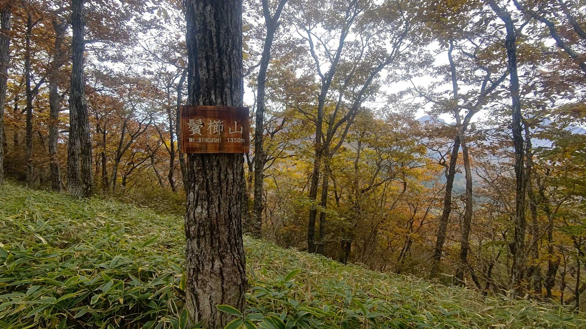 鬢櫛山山頂に到着