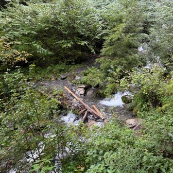 見えてきた！橋？