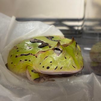 タケヲ