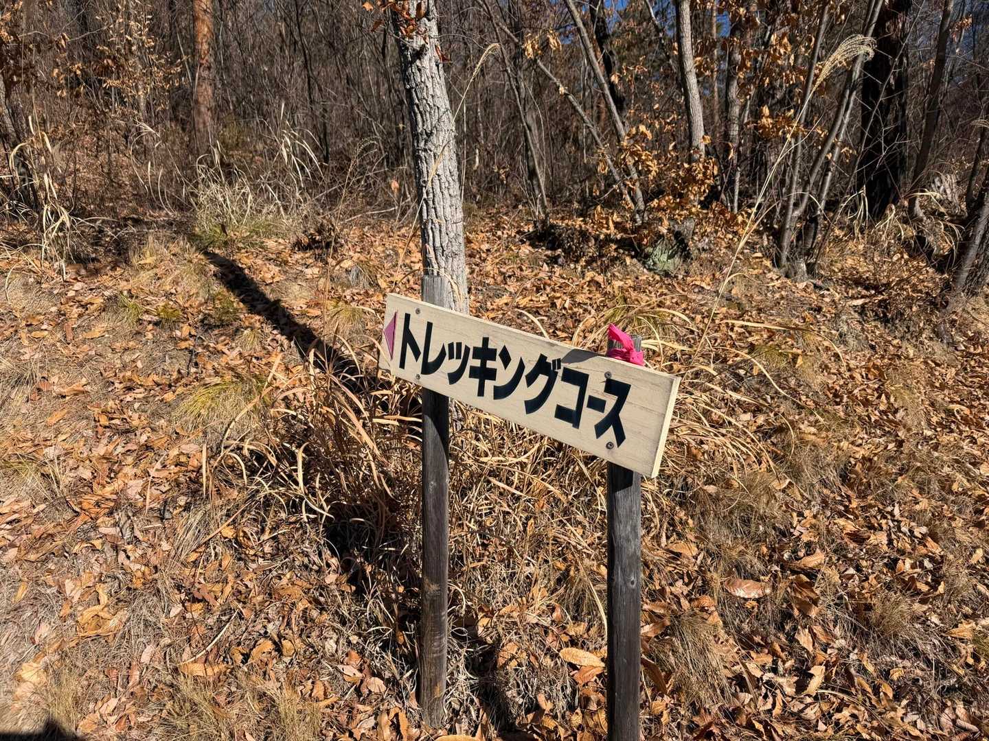 もうね、コースの案内やピンクテープもしっかりあって感激😻
日々整備してくださる方に感謝です💕