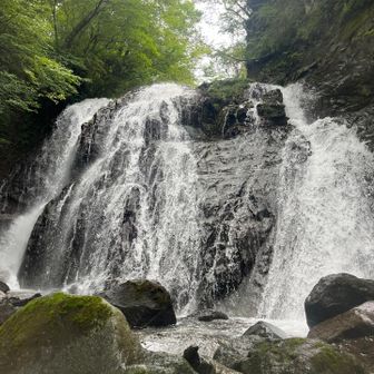 こちらは登ってない滝
