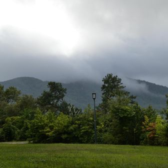 木の下で雨宿り中
藻岩山の山頂は雲の中
だけど、明るくなってきた