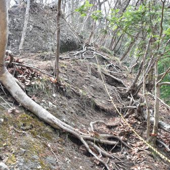 花咲山の下りもロープ場が