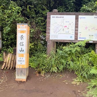 景信山！2週間前は暑かったけど今日は涼しい👍