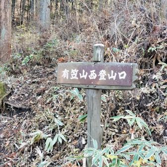 コンパクトな中に、滑る急坂や落ち葉で登山道見えない急斜面トラバース、垂直梯子に鎖、そしてルーファイ鍛えられる急坂下山道と、中身がいっぱい詰まった凄い有笠山でしたぁ。