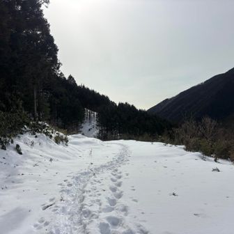 うっすらだけど青っぽい感じで、この後進んでからどんどん青が濃くなって来たのよね😅