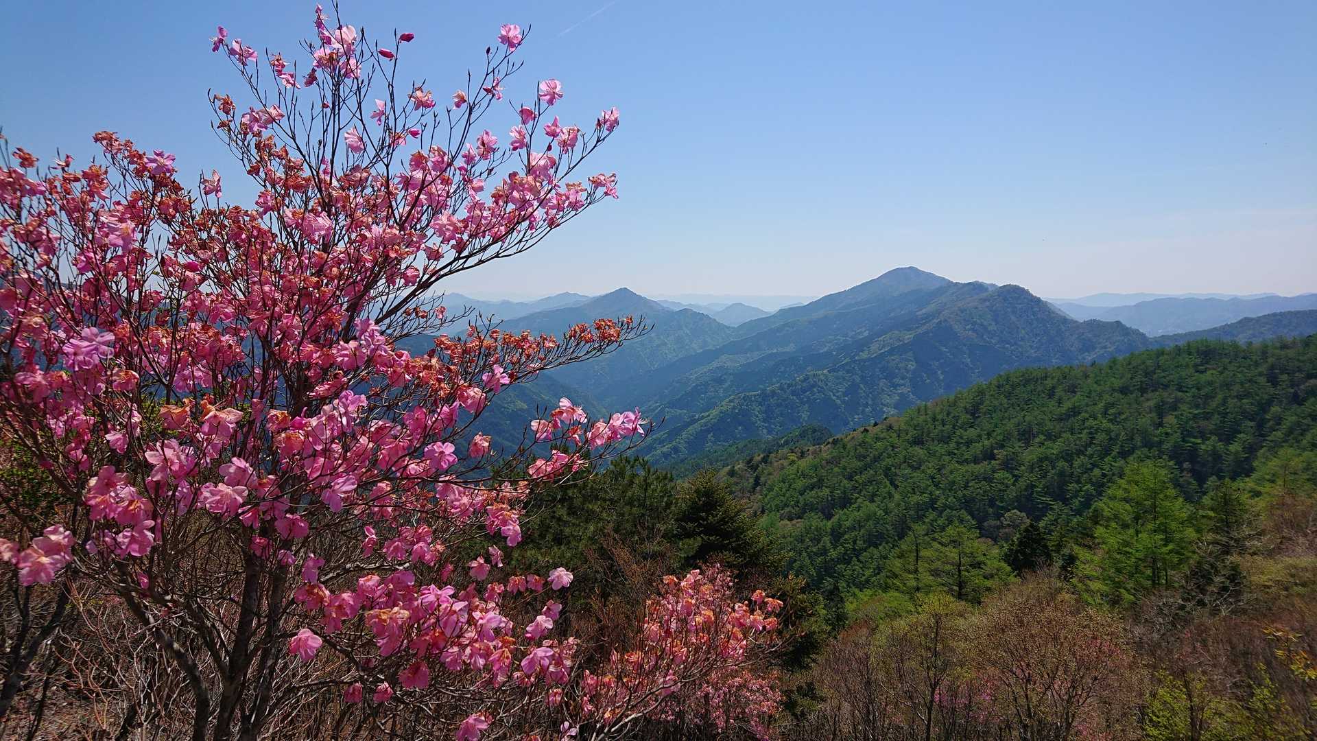 大永山トンネル口-綱繰山-西山-銅山越 往復コースの写真