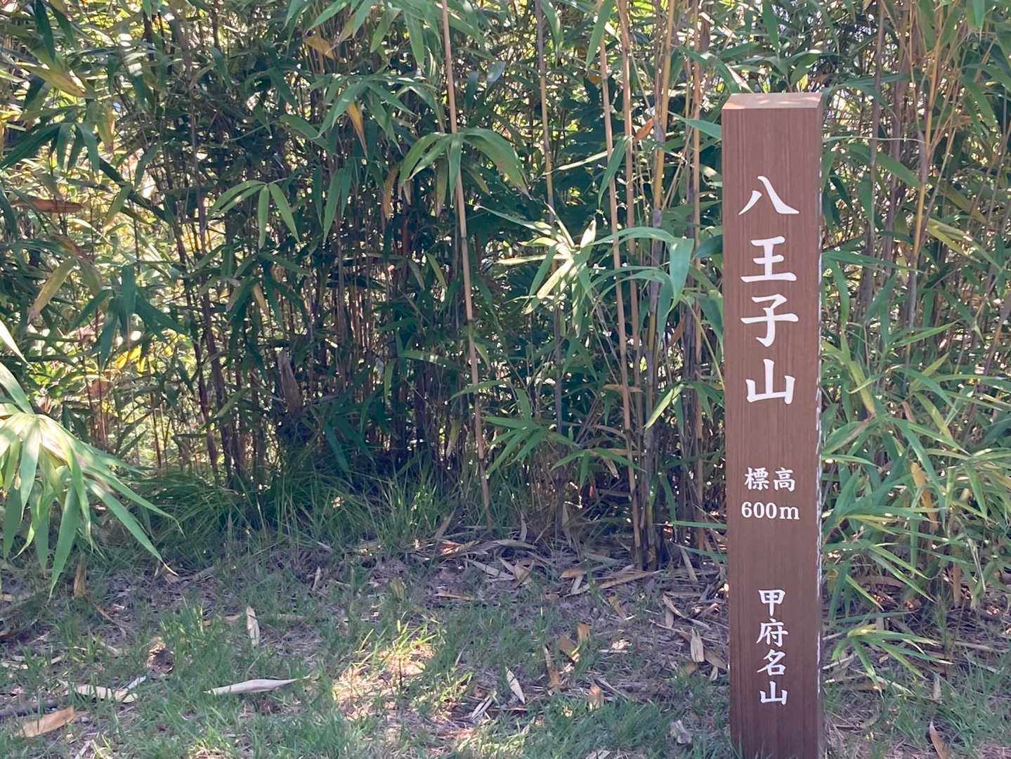 八王子山 往復コースの写真