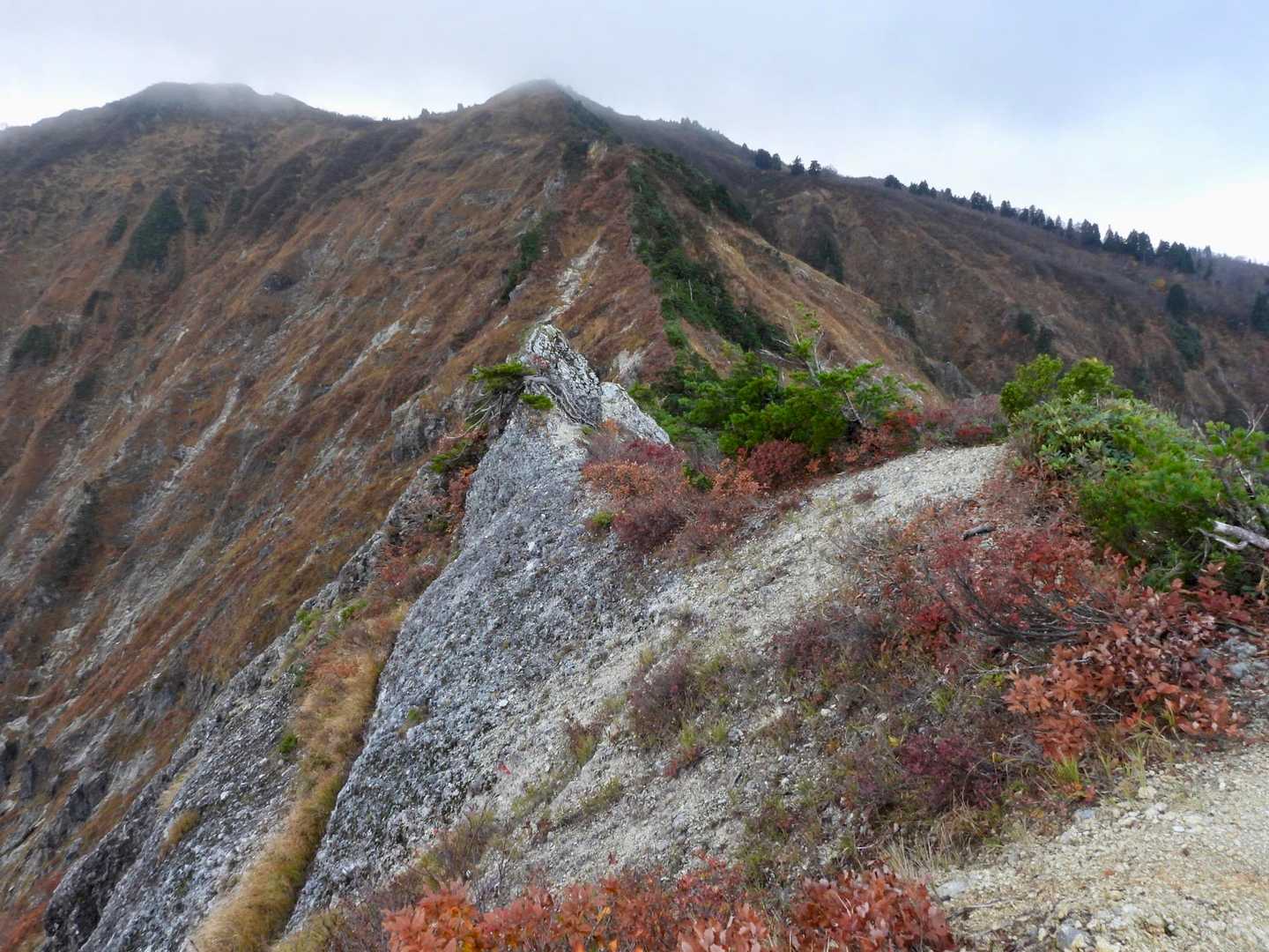 左が御神楽岳山頂です。