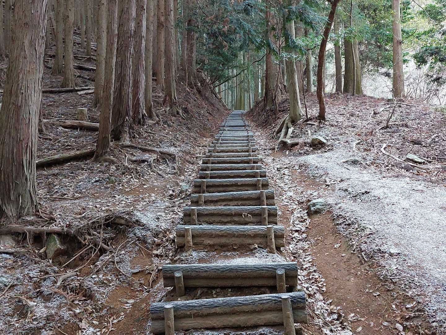 霊山寺登山口-霊山 周回コースの写真