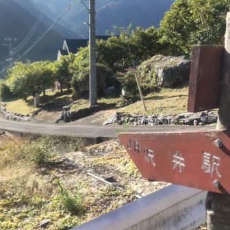 しまった！
ワタシとした事が道間違えて沢井駅におりてしまった！
そして……
(´；ω；｀)ｳｯ!!
また今日も足が痛い気がしてきたよ！
きっと両足骨折してるよ！
コレは痛み止めがいっぱい必須だよ(/ω・＼)ﾁﾗｯ