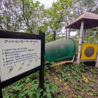 公園なのでこんな遊具もあります🛝