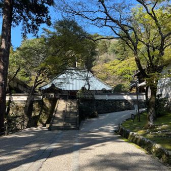 なんちゃら寺の 敷地内が コースかな？