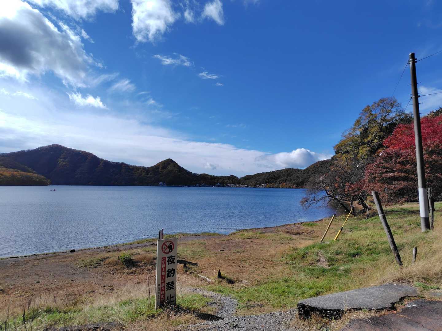 湖も綺麗。