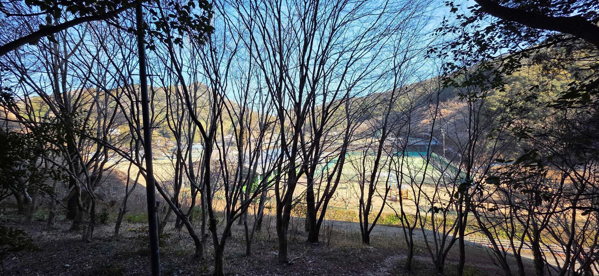 降りてきた

大滝山公園の石仏や護摩壇跡を見逃したような⋯
そのうちまた来るか