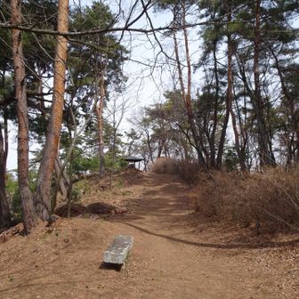 あそこが山頂かな