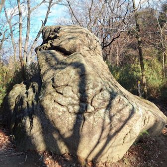 蛙岩。どう見たら蛙ぽく見えるのかと悩んで、たぶんこの方向やと思う所でパシャリ！
蛙には違いないがスターウォーズに出で来るジャバザハットに見える！