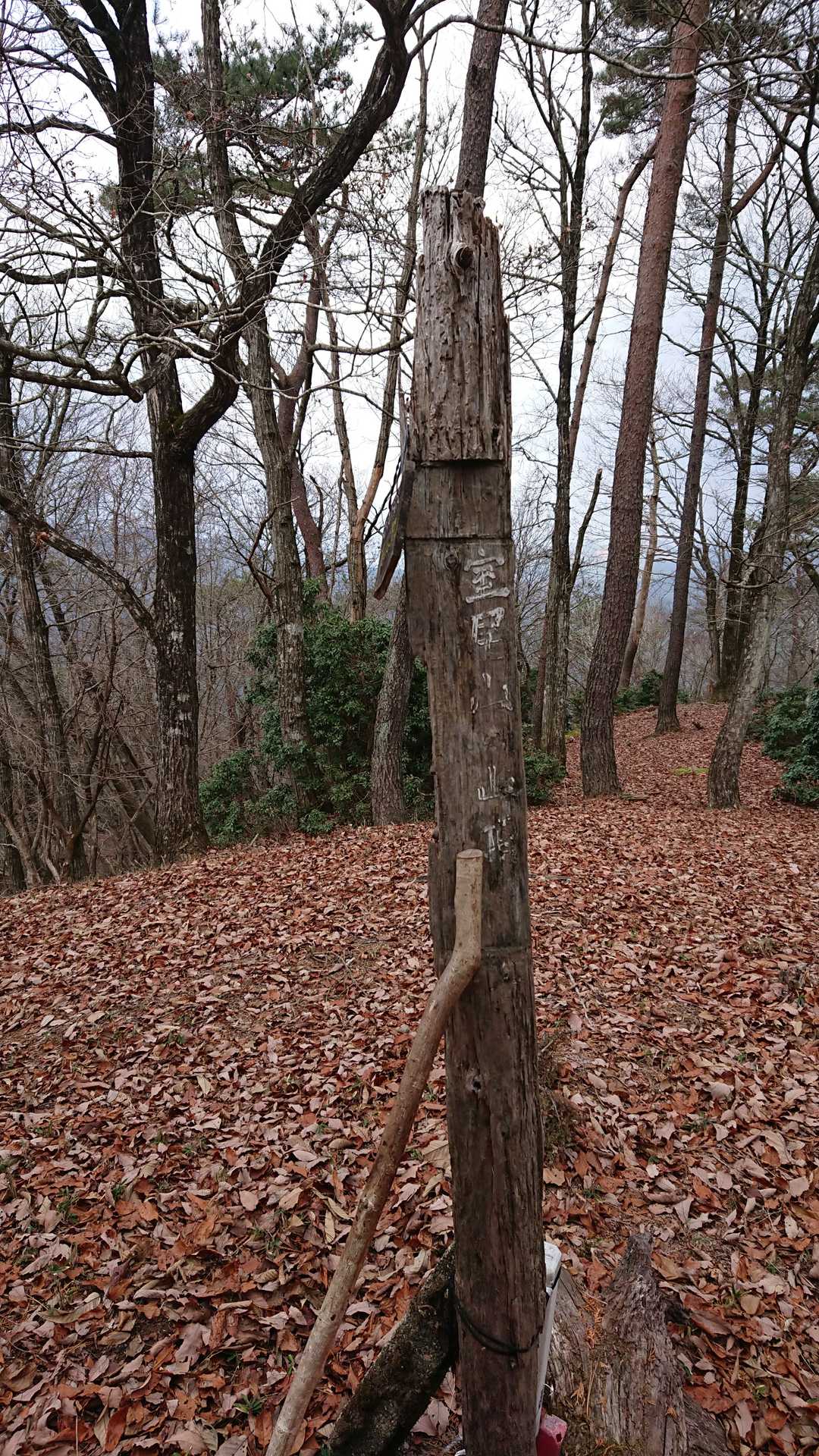 室尾山の写真