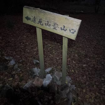 行ってきます🚶‍♂️