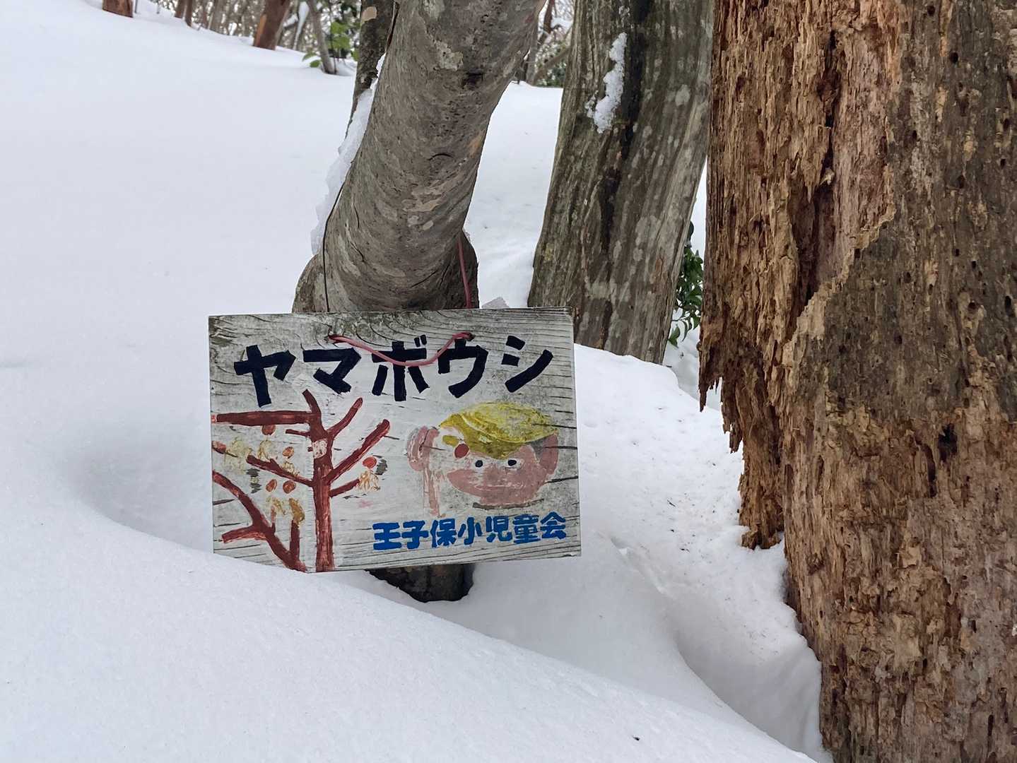 ナンテ可愛い！