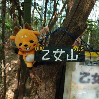 公園全体が綺麗に整備されているのに
何故か未整備のまま打ち捨てられたような
趣の乙女山。
一応乙女山古墳やけど、
ちゃんと三角点もありました。