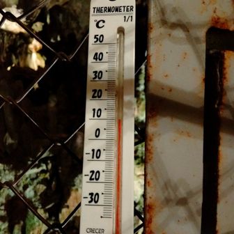 一年中ほぼ同じ気温が保たれている不思議