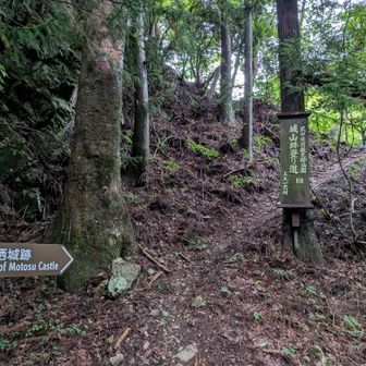 本栖城跡
バスの時間もあるので今回はスルー