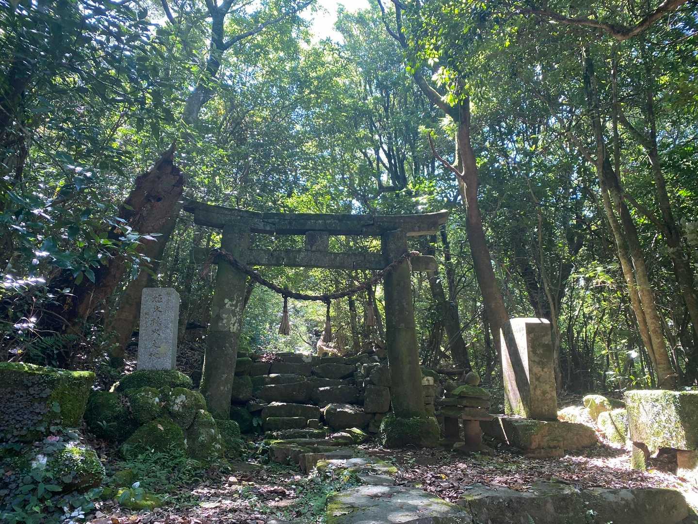 安満岳 往復コースの写真
