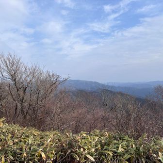 晴れてきた☀️吉和冠山が見える👀