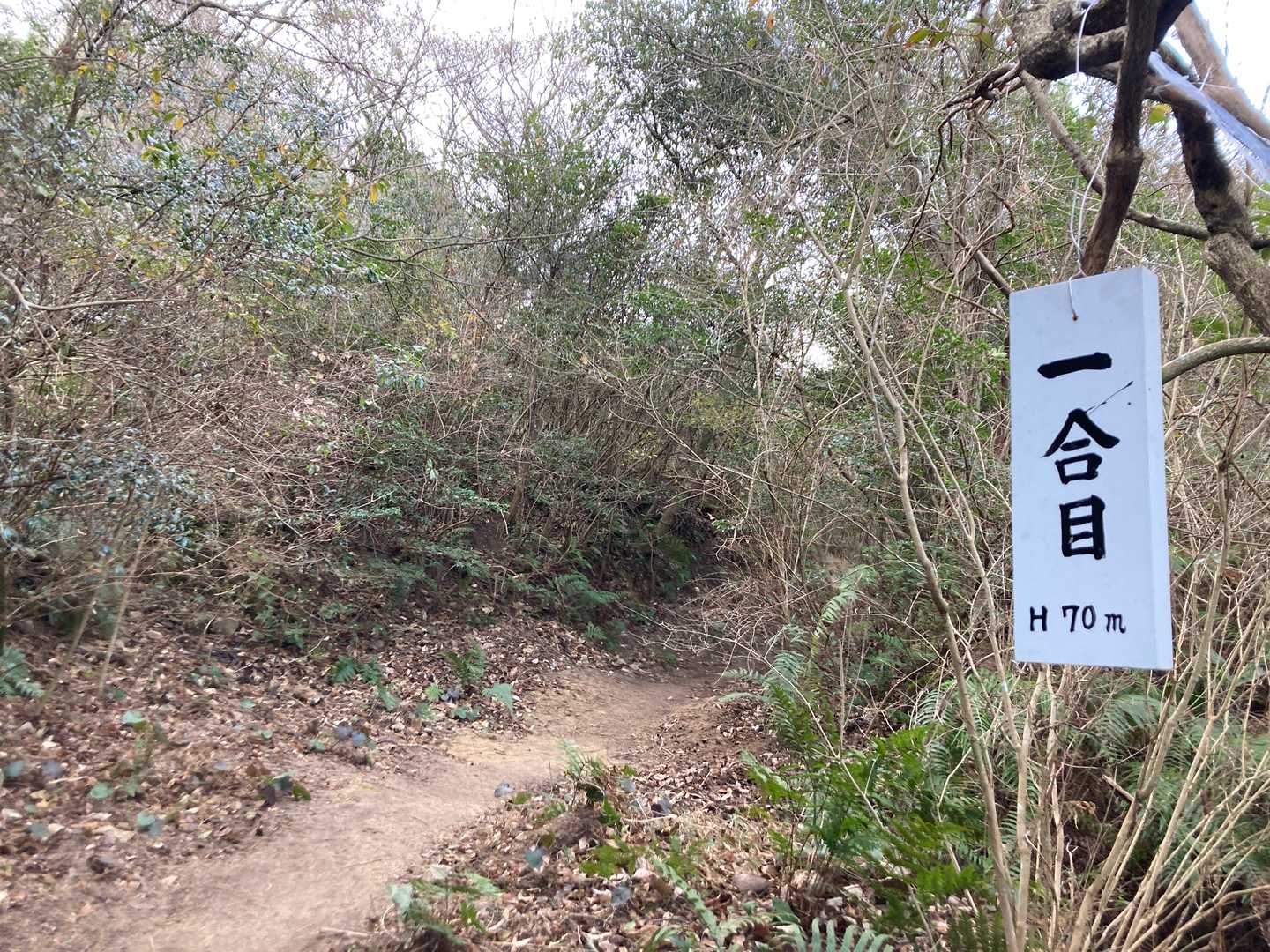 虎丸山登り口-三本松-虎丸山 周回コースの写真