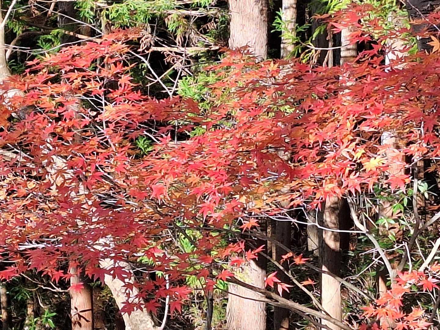 その１８