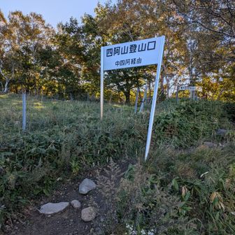 牧場の横から