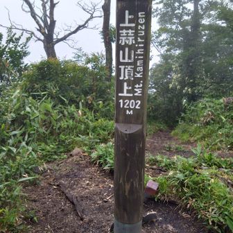 中から上は、YAMAP見る限りだと、大したことないようにみえるかもですが、岩場の登りで、けっこう削られます