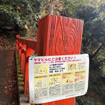 暖かすぎてヒル出そう！ここでゲーターやクマ鈴、クマスプレーを装着しました。