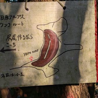 ワンコルートのどの部分をやってるか説明書ありました。今はしっぽの付け根の辺り