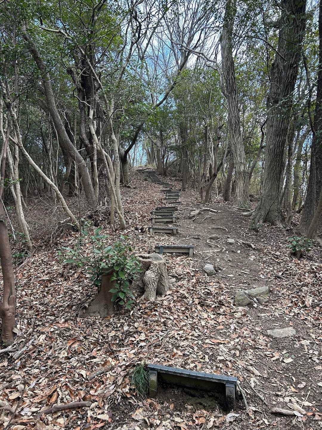 里山、急な階段ありがち💦