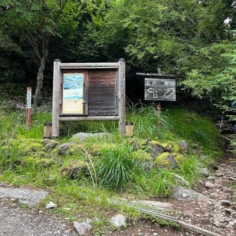 ここから南沢と北沢の分岐