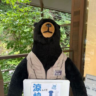 唯一遭遇したクマさんでした🐻