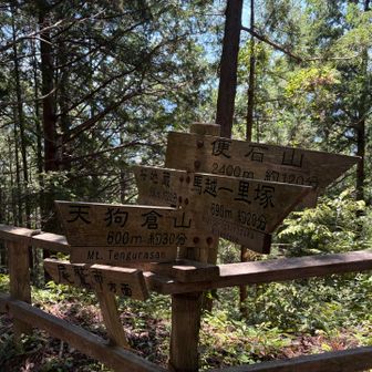 馬越峠まで戻ってきて、
次は天狗倉山を目指します
