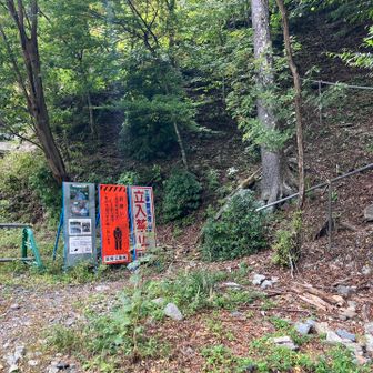 砂防ダム建設のため迂回路
脚が疲れてるところに30mくらいの登り💦
