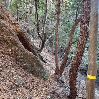 テープありがたい