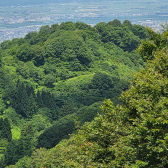 水平道の上の先のピークは、622？