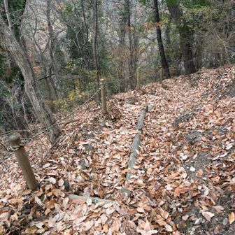 下りは落ち葉で滑るので要注意です。