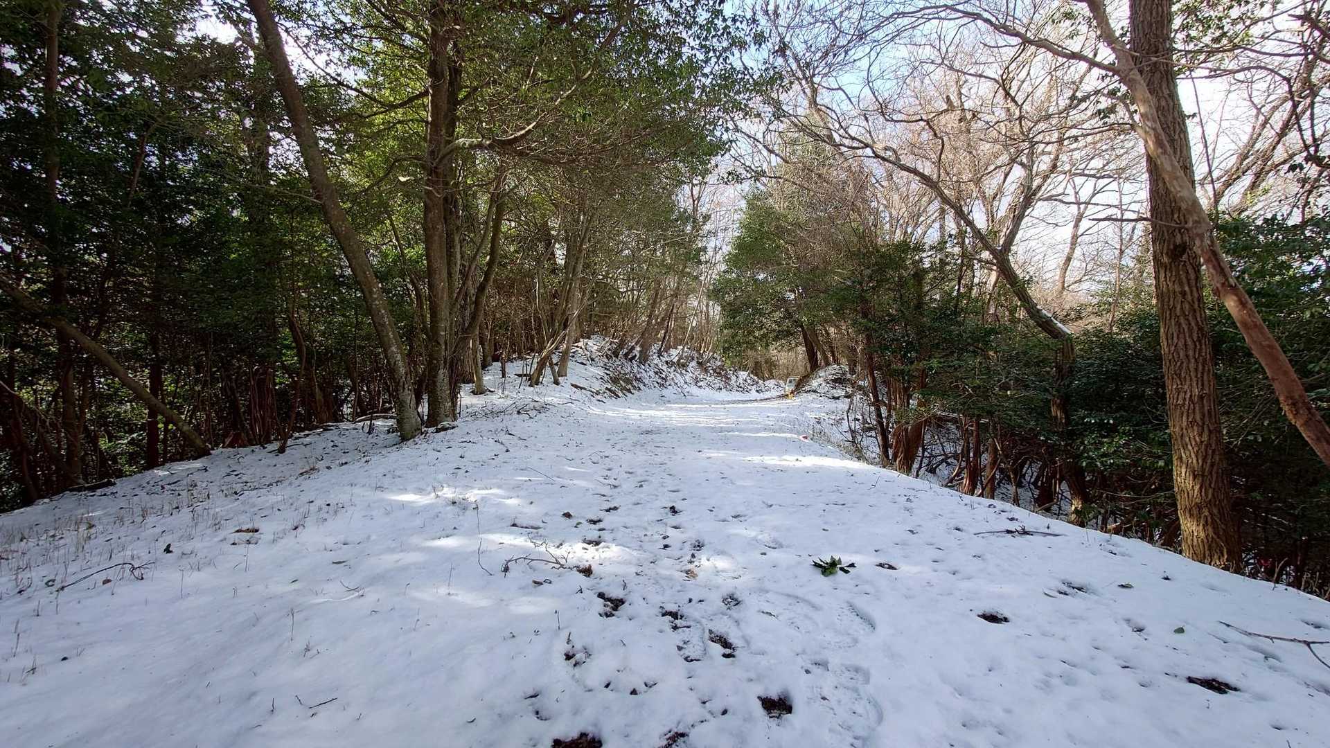 茶臼山 往復コースの写真