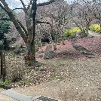 ゴール‼️👏👏👏👏